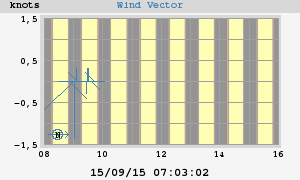 Wind Vector