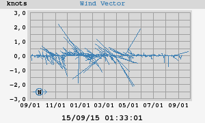 Wind Vector